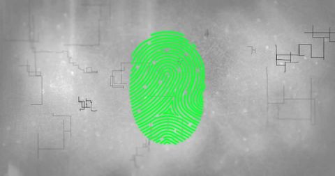 Green fingerprint with digital connections against grey background