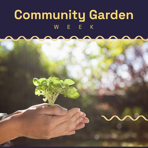 Celebrating Community Garden Week with Sustainability and Growth - Download Free Stock Templates Pikwizard.com