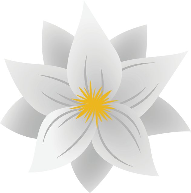 Transparent White Flower Illustration with Yellow Center on Isolated Background - Download Free Stock Videos Pikwizard.com