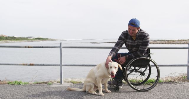 Man in wheelchair petting dog by seaside - Download Free Stock Images Pikwizard.com