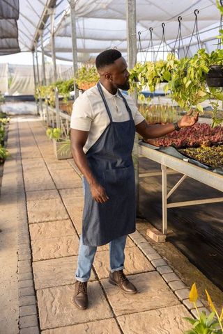 African american gardener inspecting hanging pothos in sunlit greenhouse with denim apron