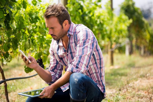Young man using phone while holding digital tablet at vineyard