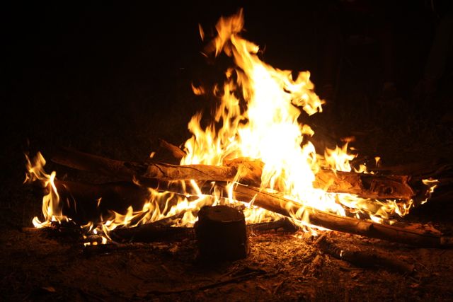 Bonfire Flames at Night Illuminating Surroundings - Download Free Stock Photos Pikwizard.com