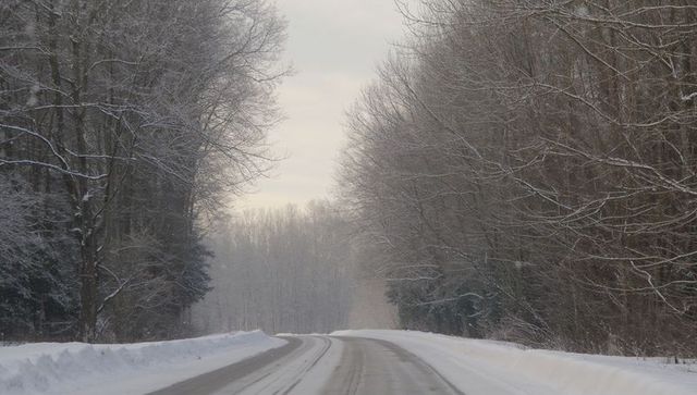 Curving snowy country road guiding slushy tire tracks through frosted winter forest mist
