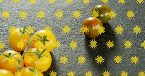 Yellow cherry tomatoes on vine with starburst overlay on dark slate surface, studio still life