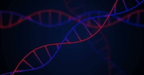 Digital Abstract DNA Strands on Dark Background - Download Free Stock Images Pikwizard.com