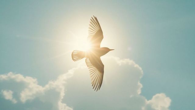 Soaring Bird Against Sunlit Sky With Halo