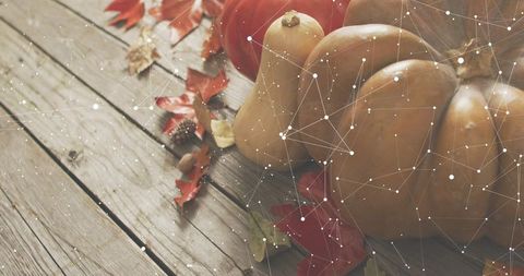 Autumn pumpkins and butternut squash on rustic wooden table with maple leaves and acorns