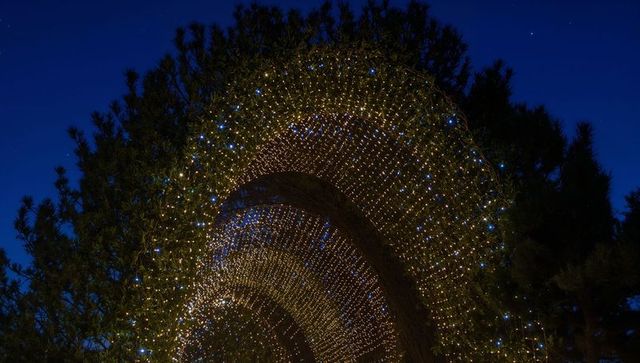 Glowing arched tunnel weaving fairy lights through evergreen canopy at night