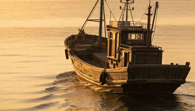 Wooden fishing boat cutting through calm harbor water in golden sunrise light