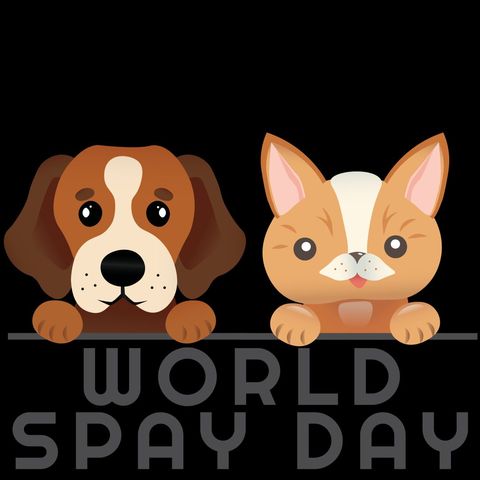World Spay Day Pet Awareness Graphic - Download Free Stock Templates Pikwizard.com
