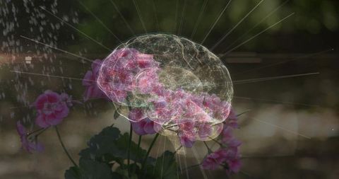 Geranium blooms blending with 3d neural brain wireframe double exposure nature concept