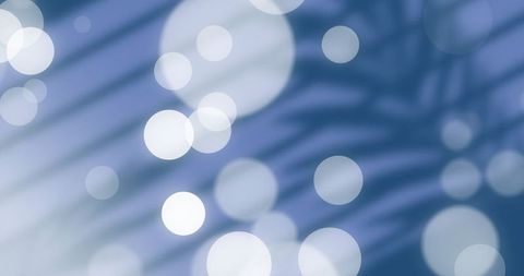 Digital Art Bokeh Lights and Palm Shadows Abstract Design