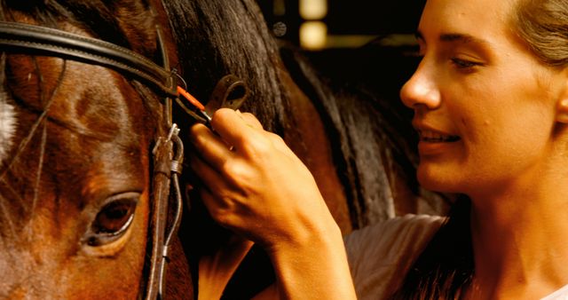 Young Woman Tending to Brown Horse in Stable - Download Free Stock Images Pikwizard.com