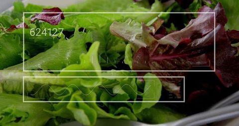 Displaying fresh mixed lettuce with digital HUD overlay for healthy tech visuals