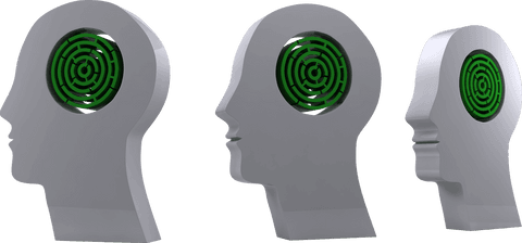 Transparent Heads with Green Maze Brains Conceptual Design