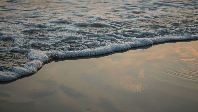 Glistening foamy wave edge reflecting pastel sunrise on shiny sand with ripples