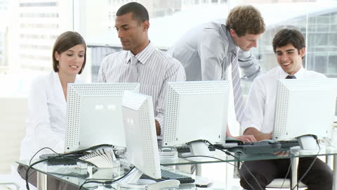 Dynamic Office Environment with Young Professionals