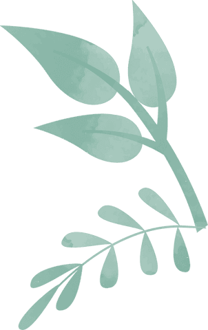 Watercolor botanical branches with transparent background