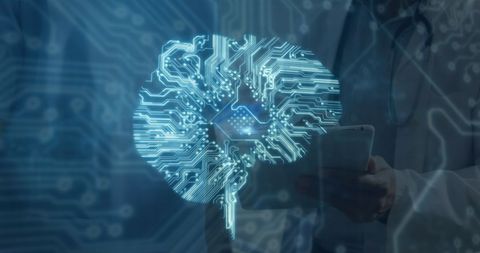 Digital Brain with Circuit Pattern on Transparent Display - Download Free Stock Images Pikwizard.com