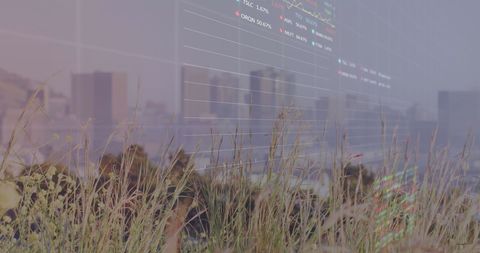 Financial Data Overlaying Cityscape with Grass Details - Download Free Stock Images Pikwizard.com