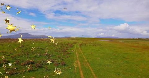 Dirt Tracks Through Grassland with Festive Gold Star Overlay