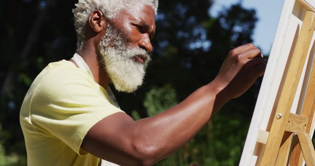 Senior african american man painting picture on a canvas in sunny garden - Download Free Stock Photos Pikwizard.com
