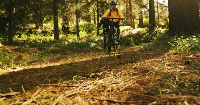 Woman Mountain Biking Through Forest Trail in Early Morning Light - Download Free Stock Images Pikwizard.com