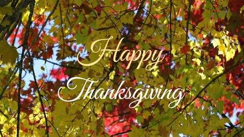 Happy Thanksgiving Text Over Autumn Leaves
