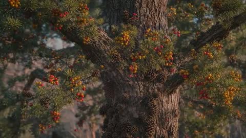 Enchanted Forest Tree with Pine Cones and Colorful Berries