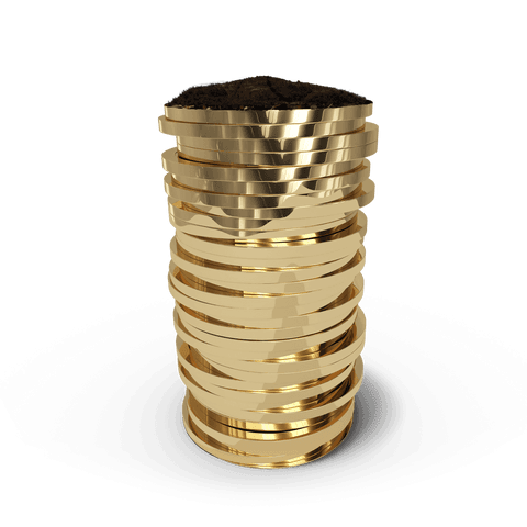 Stack of Shiny Gold Coins on Transparent Background for Finance Projects - Download Free Stock Videos Pikwizard.com
