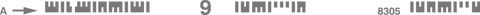 gray barcode pattern on transparent canvas with digital number abstract - Download Free Stock Videos Pikwizard.com