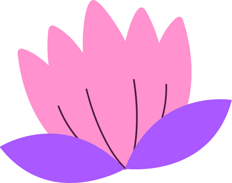 Transparent Lotus Image with Flat Pink Petals and Purple Leaves