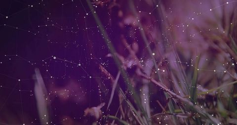 Futuristic Nature Blades with Digital Network Overlay