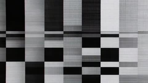 Digital Glitch on Monitor with Grayscale Blocks for Diagnostic Check