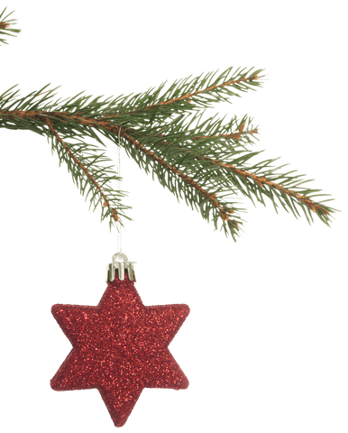 Transparent Red Star Christmas Ornament on Pine Branch - Download Free Stock Videos Pikwizard.com