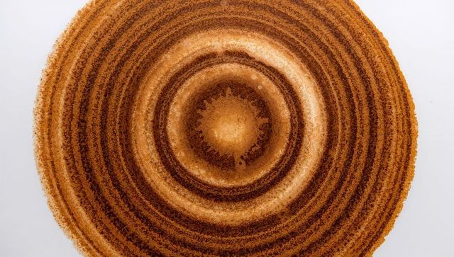 Concentric brown granule rings forming abstract coffee and cinnamon texture overhead
