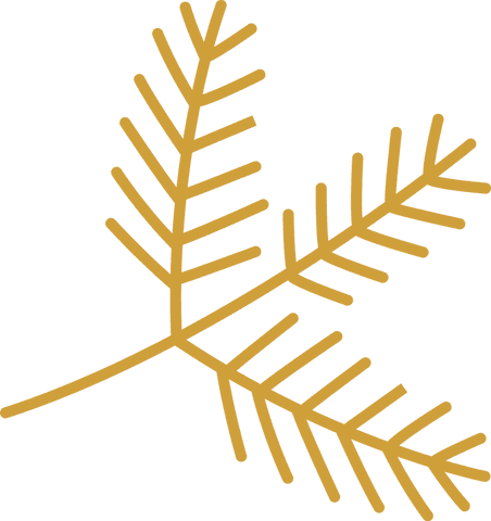 Transparent Gold Pine Branch Vector Illustration With Needle Offshoots