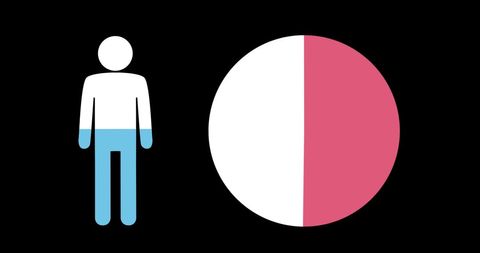 Graphical icon with pie chart on black