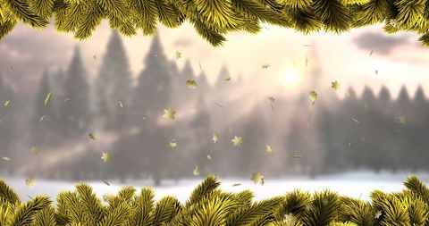 Christmas Fir Tree Branches with Gold Stars in Winter Wonderland - Download Free Stock Images Pikwizard.com