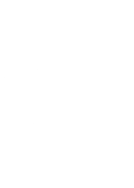 Silhouette of Male Boxer with Gloves on Transparent Background Vector - Download Free Stock Videos Pikwizard.com