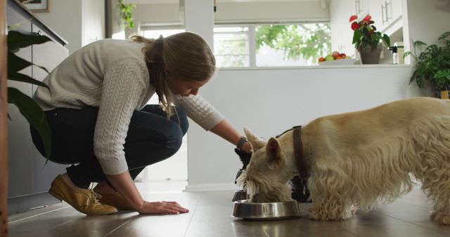 A woman is kneeling on the floor and feeding food to two dogs in a modern, well-lit kitchen. The environment looks clean and inviting, showcasing a typical moment of domestic pet care. This image can be used for promoting pet food products, illustrating pet care tips, or demonstrating the bond between humans and their pets.