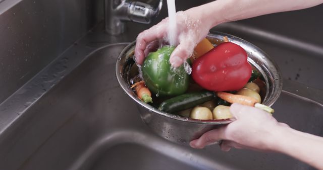 Washing Fresh Vegetables Under Running Water in Sink - Download Free Stock Images Pikwizard.com