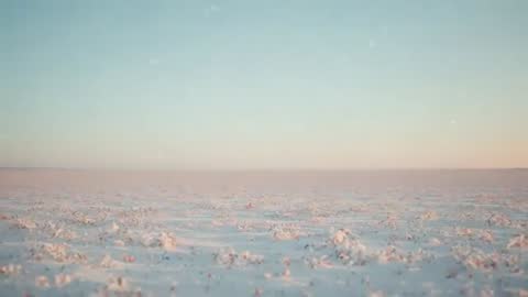 Calm Winter Dawn Over Snowy Field with Gradual Lightshow