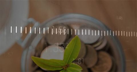Seedling sprouting from coins in glass jar with financial growth measurement overlay
