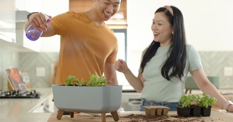 Asian couple watering indoor herb garden in sunny kitchen caring for seedlings together