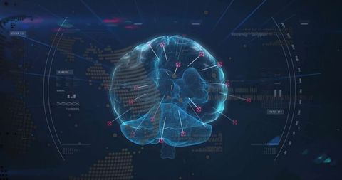 Digital Holographic Brain Model with Data Visualization