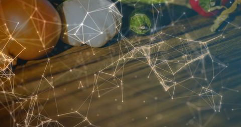 Fusion of Organic Ingredients with Digital Network Illustration