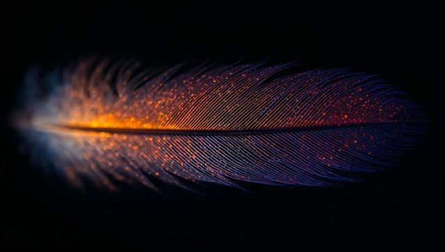 Iridescent feather macro closeup with glowing orange purple speckles on black