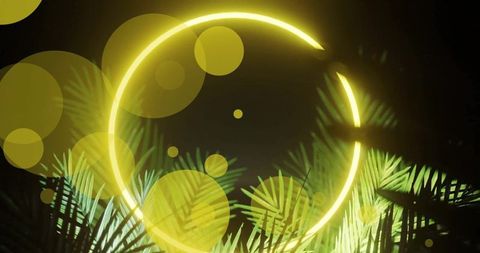 Neon Circle Illuminates Leaves and Floating Light Spots